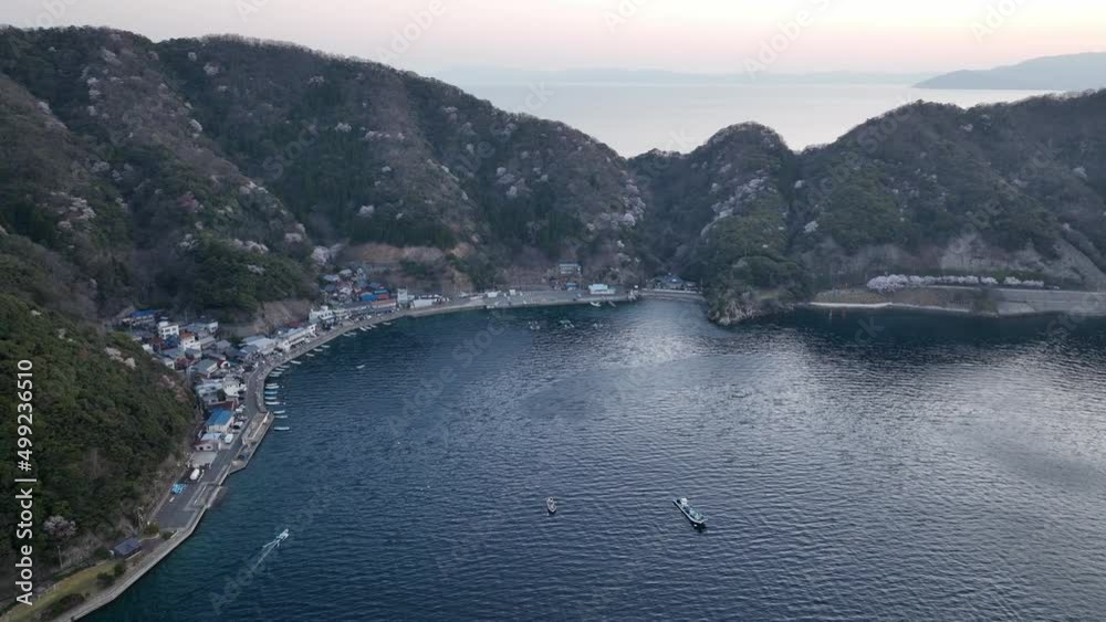 福井県常神半島 春の景色 ドローン空撮 福井県常神半島 春の景色 ドローン空撮
