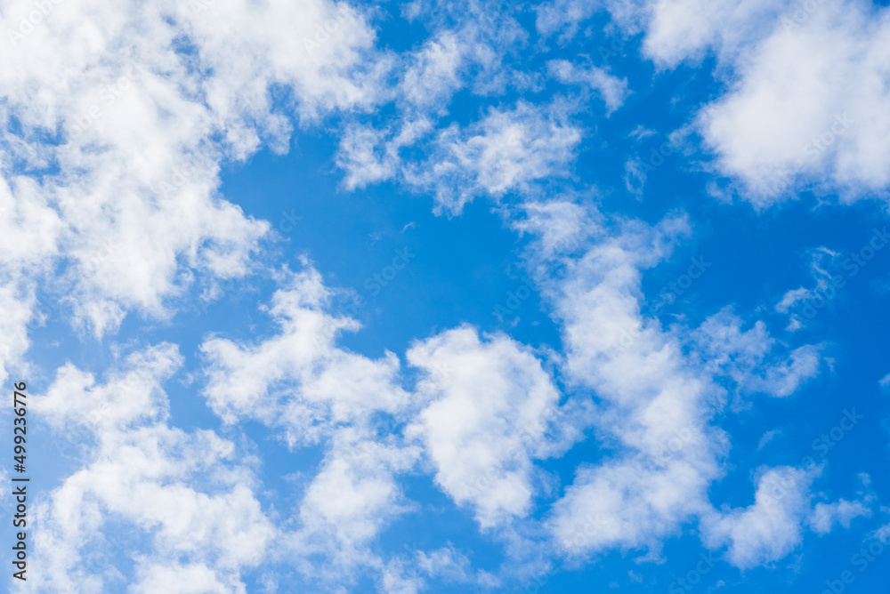Obraz premium 青空と雲