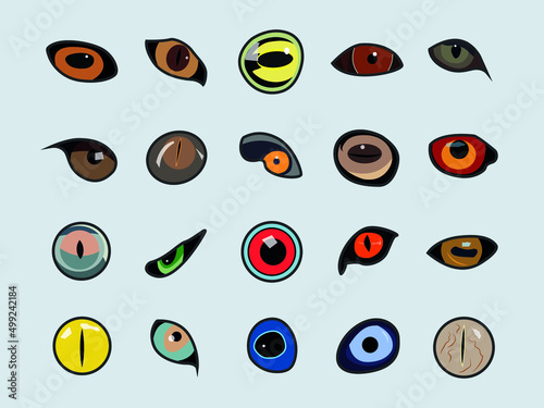 collection of different animal eyes in vector