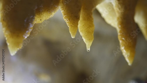 Stalactites in the cave speleothems  photo