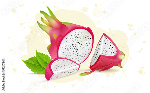 Half Piece of Dragon fruit vector illustraton with Fruit slices 