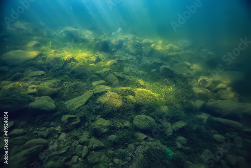 green algae underwater in the river landscape riverscape, ecology nature