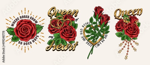 Set of vintage labels with red roses, golden dollar sign, chains with rhinestones, text, quotes. Bright vector illustration. T-shirt design.