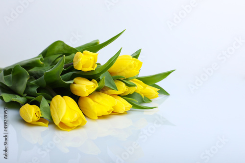 Spring composition. Delicate yellow tulips on white background top view space for text border. bouquet of fresh yellow tulips on white background 
