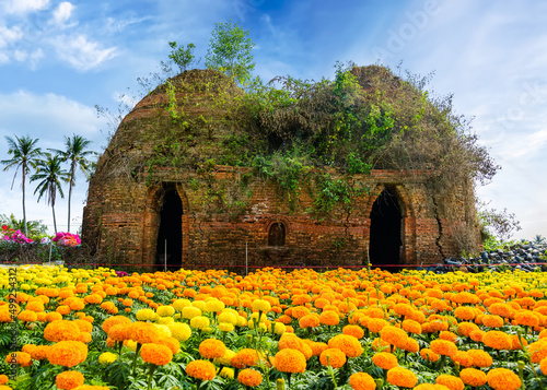 Flower farm next to an old brick kiln in Ben Tre province, Vietnam photo