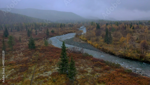 Beautiful nature from a drone. Clip. A clear river next to a forest with tall fir trees and stones flows in the direction of
