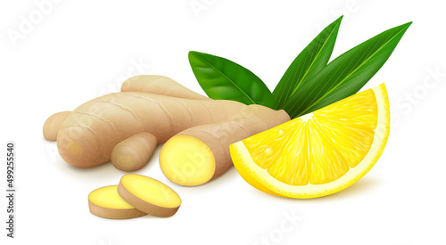 Ginger root with two slices, piece of lemon and green leaves isolated on white background. Realistic vector illustration. Side view.