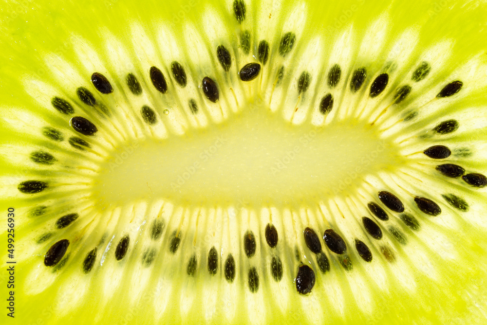 Close-up of transparent green kiwi slices as a background Close-up of transparent green kiwi slices as a background