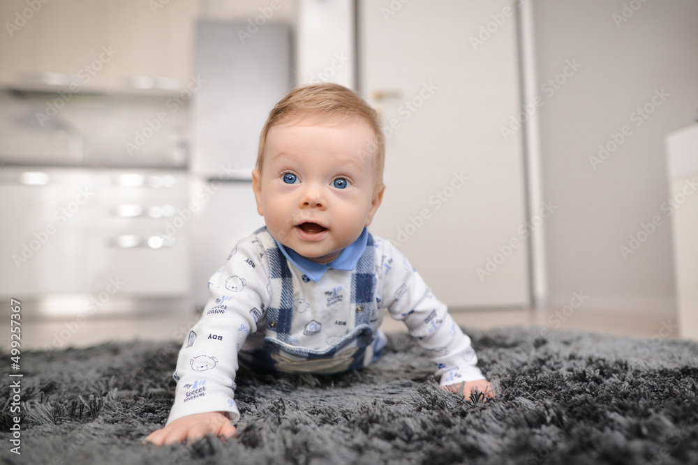 Portrait of a crawling baby on the carpet in home. Smiling crawling baby at home on carpet. Portrait of a crawling baby on the carpet in home. Smiling crawling baby at home on carpet.