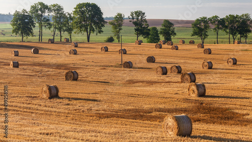 Fototapeta Naklejka Na Ścianę i Meble -  View of the Masurian fields.