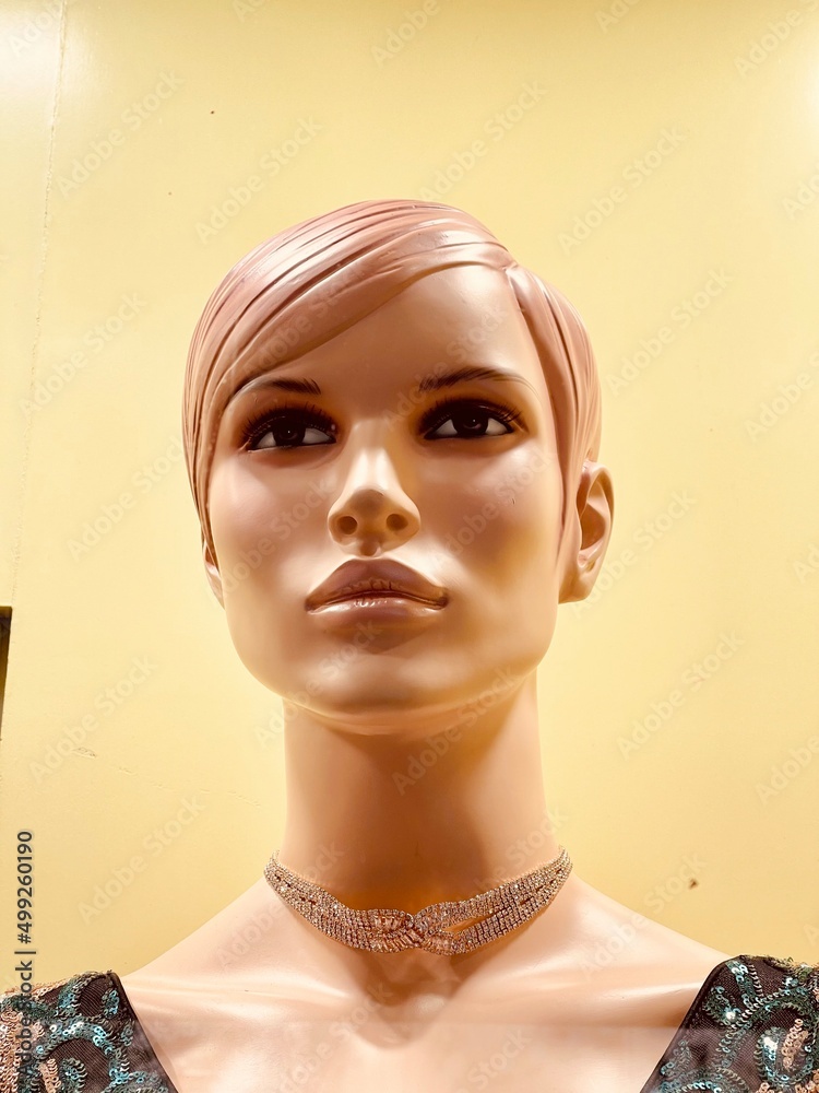 Mannequin of a woman behind a window of a store. Stock Photo Adobe Stock