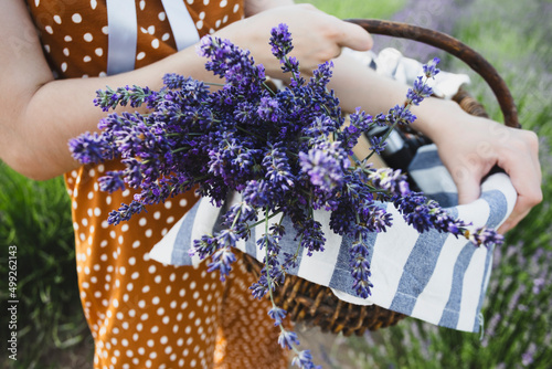 Provence - girl at the lavender field