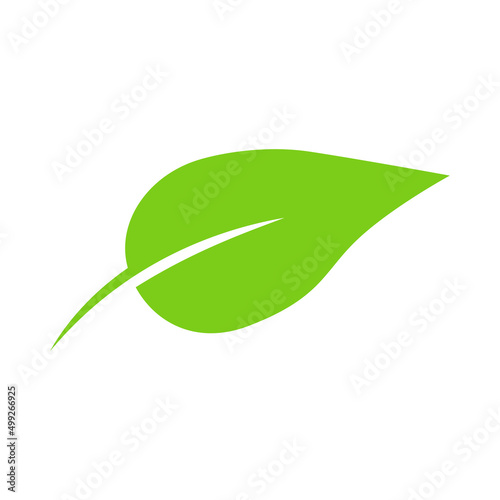 Leaf green vector icon on white background