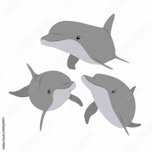 A group of three Common bottlenose dolphins swim in the water. Realistic vector animal