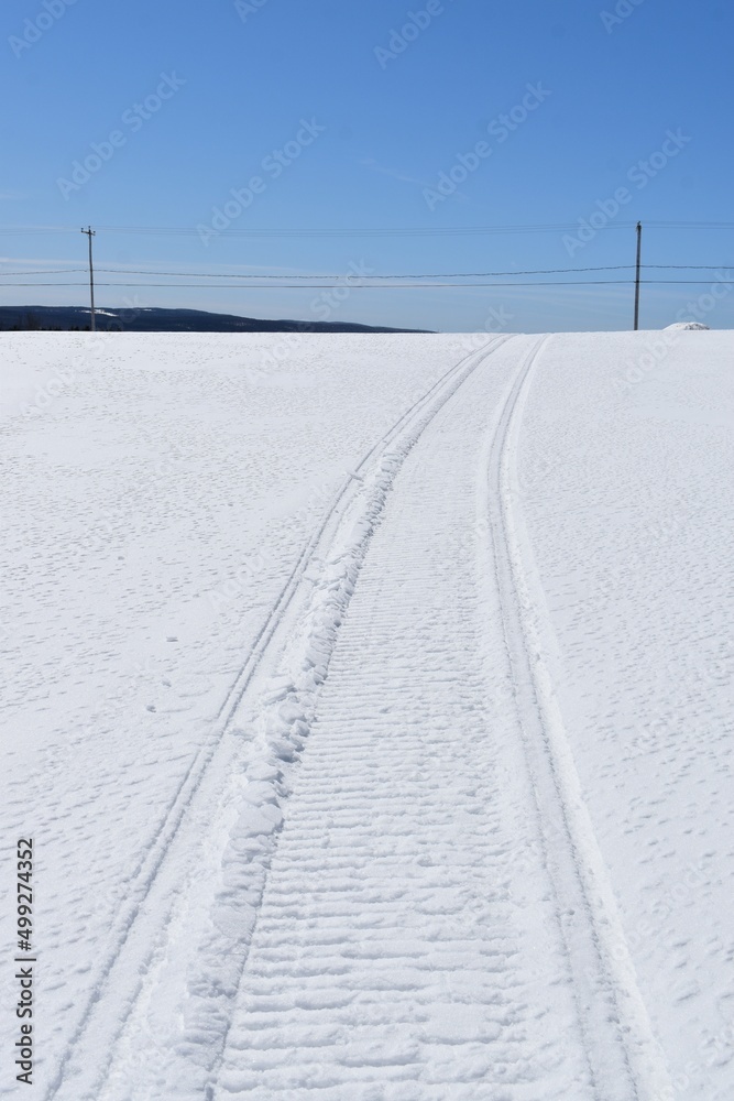 A snowmobile track in a field, Sainte-Apolline, Québec, Canada