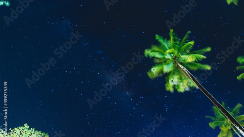 Milky Way with coconut trees