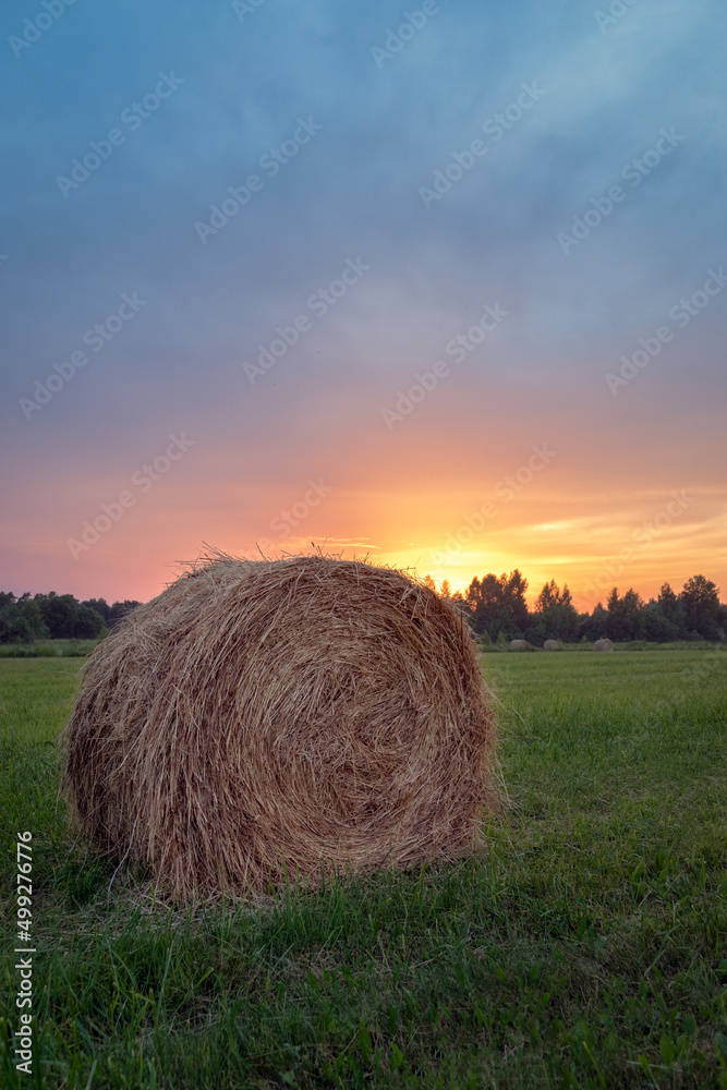 The evening view of hay bales in the field The evening view of hay bales in the field