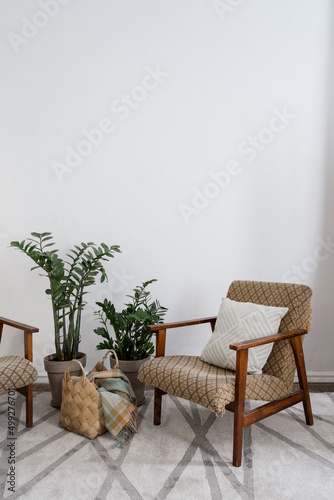 Cozy living room with retro armchair, houseplant and basket on carpet