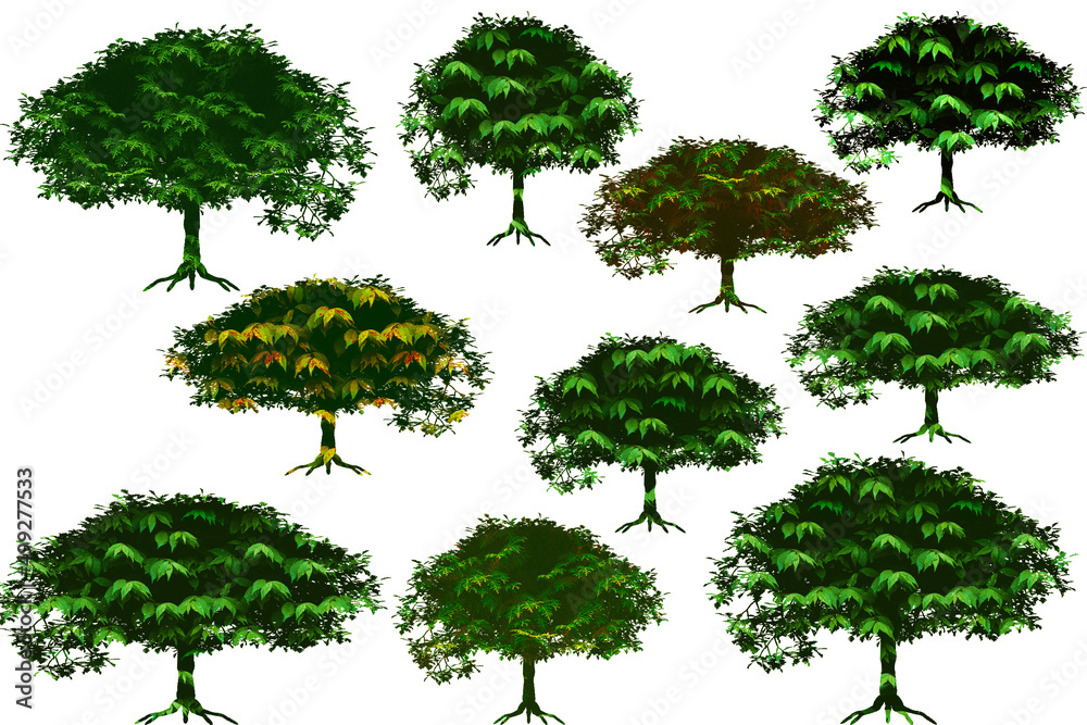Fototapeta premium Realistic trees isolated on white background.