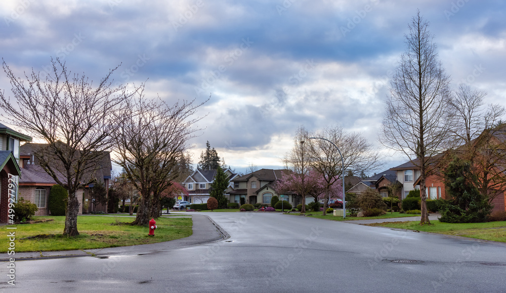 Fraser Heights, Surrey, Greater Vancouver, BC, Canada. Street view in the Residential Neighborhood during a colorful spring season. Dramatic Sunset Sky.