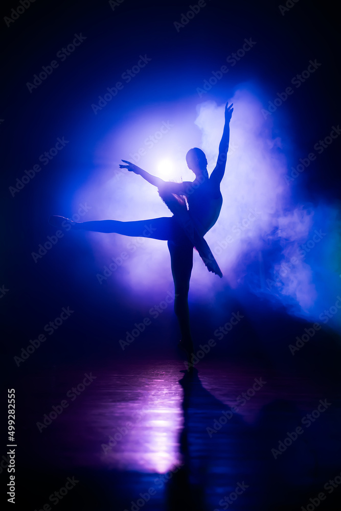 Foto Stock Silhouette of ballerina in studio with violet neon colorful  light. Young woman dancing in classic tutu dress. Gracefulness and  tenderness in every movement. | Adobe Stock