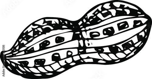 Hand drawn sketch style peanuts set. Seed and peanut pod. Vector illustration isolated on white background.