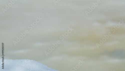 Tree trunk felled by beavers. Winter landscape. Pan.