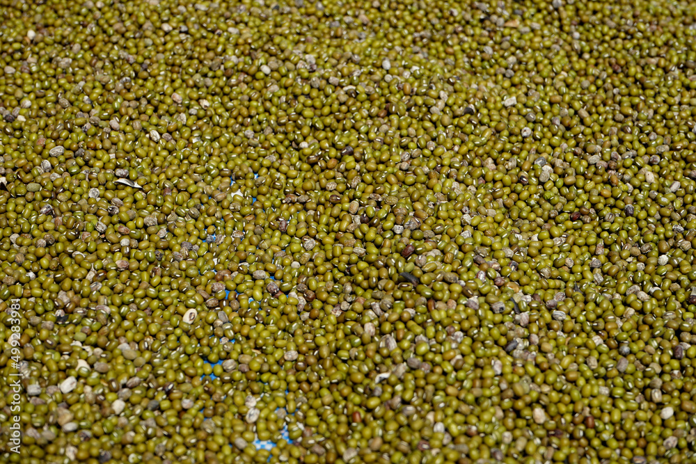 mung bean seed granules form a texture mung bean seed granules form a texture