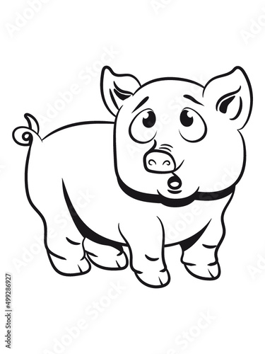 Schwein Ferkel Tier 