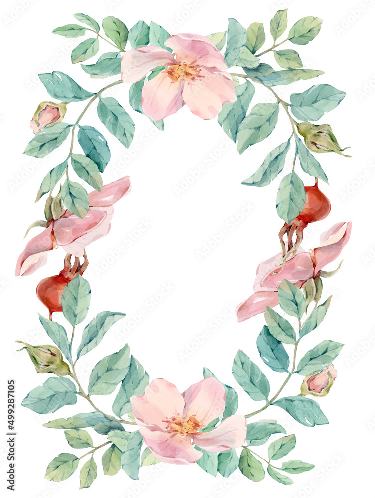 Fototapeta premium Floral frame of green leaves, rose buds, flowers and rose hips. Hand drawn in watercolor, isolated on a white background. For wedding invitations, cards and other design
