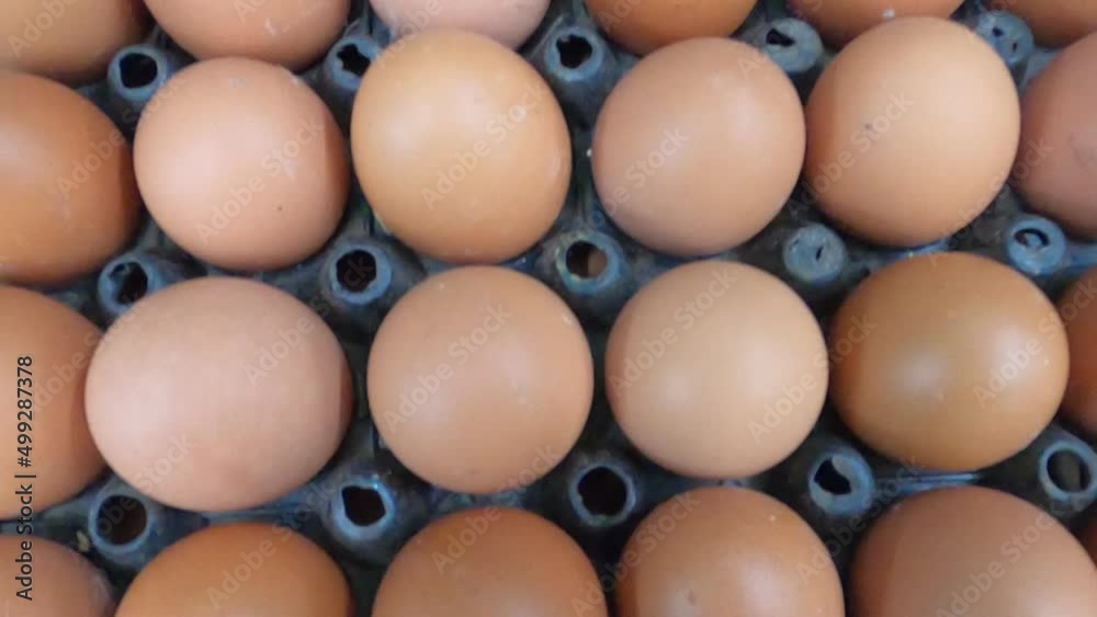 Eggs rows pattern top view with smooth movement. Eggs rows pattern top view with smooth movement.