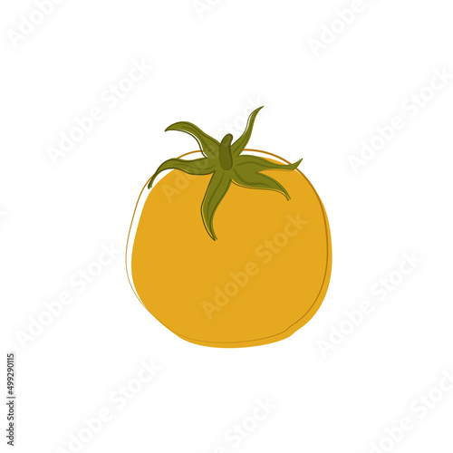 Vector hand drawn yellov raw tomato with lines, isolated clipart on white background