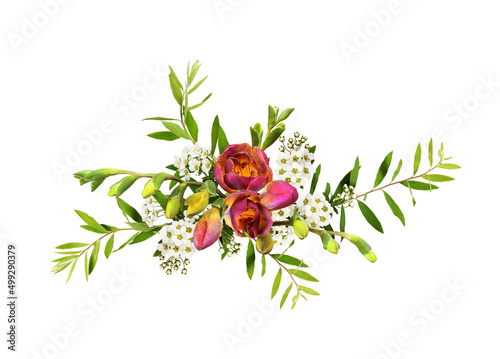 Red and yellow freesia flow...