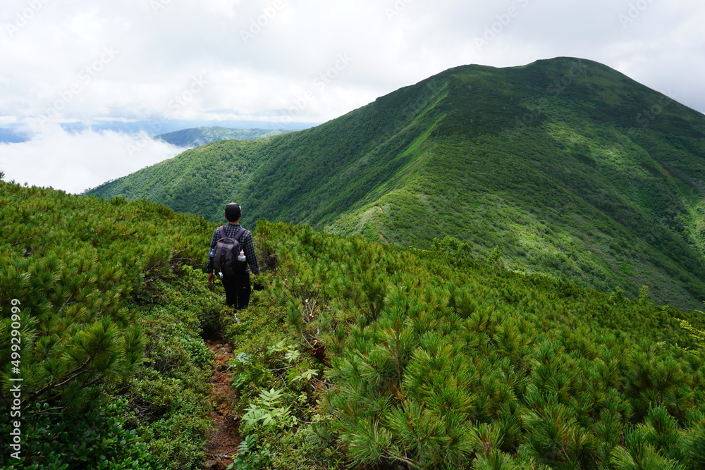 Obraz premium 登山
