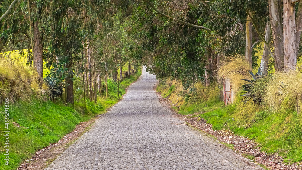 Ruta de campo