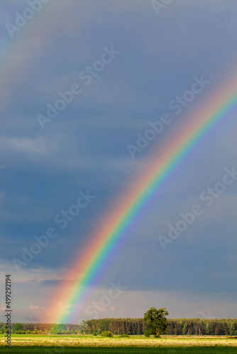 beautiful double rainbow in cloudy sky