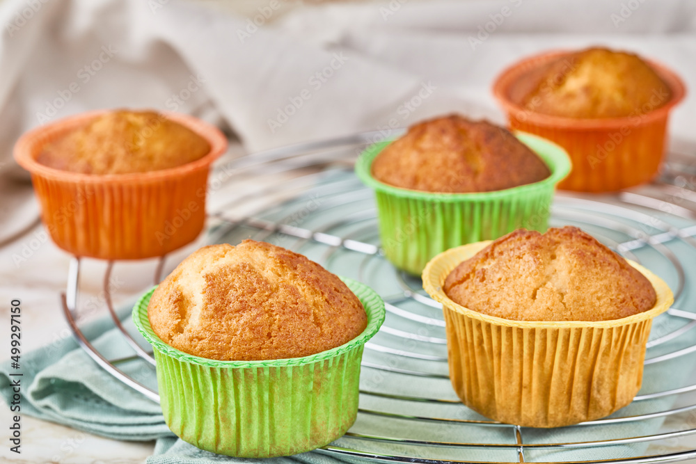 Simple, freshly baked homemade muffins Simple, freshly baked homemade muffins