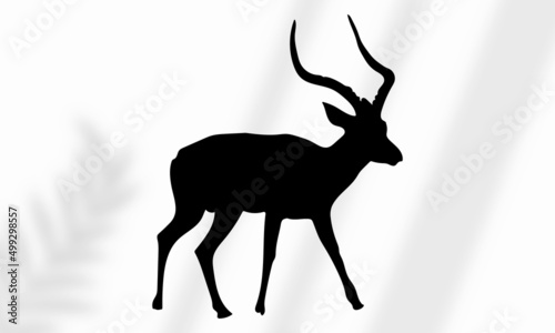 Collection of deer silhouettes set on white background
