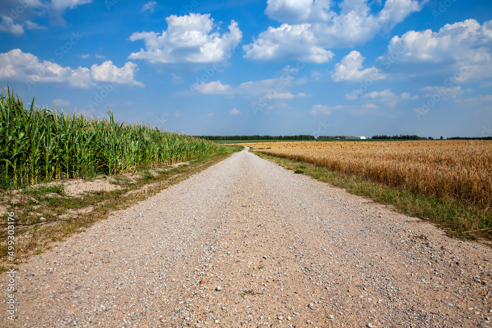 Obraz premium features on paved sandy road in rural area