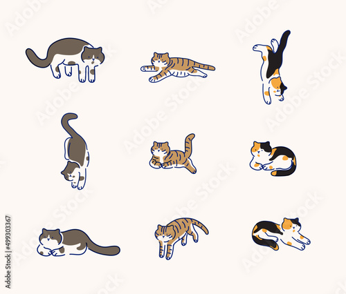 cat overprint 