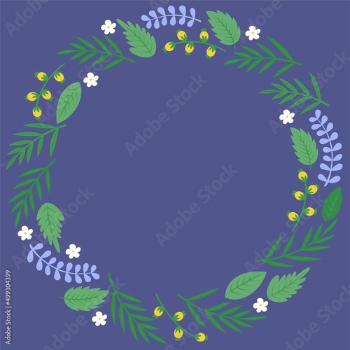 Fototapeta Naklejka Na Ścianę i Meble -  Flowers and leaves elements frame vector illustration