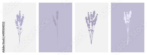 Purple lavender greeting cards. Elegant lavender bouquet design. Botanical flowers collection.