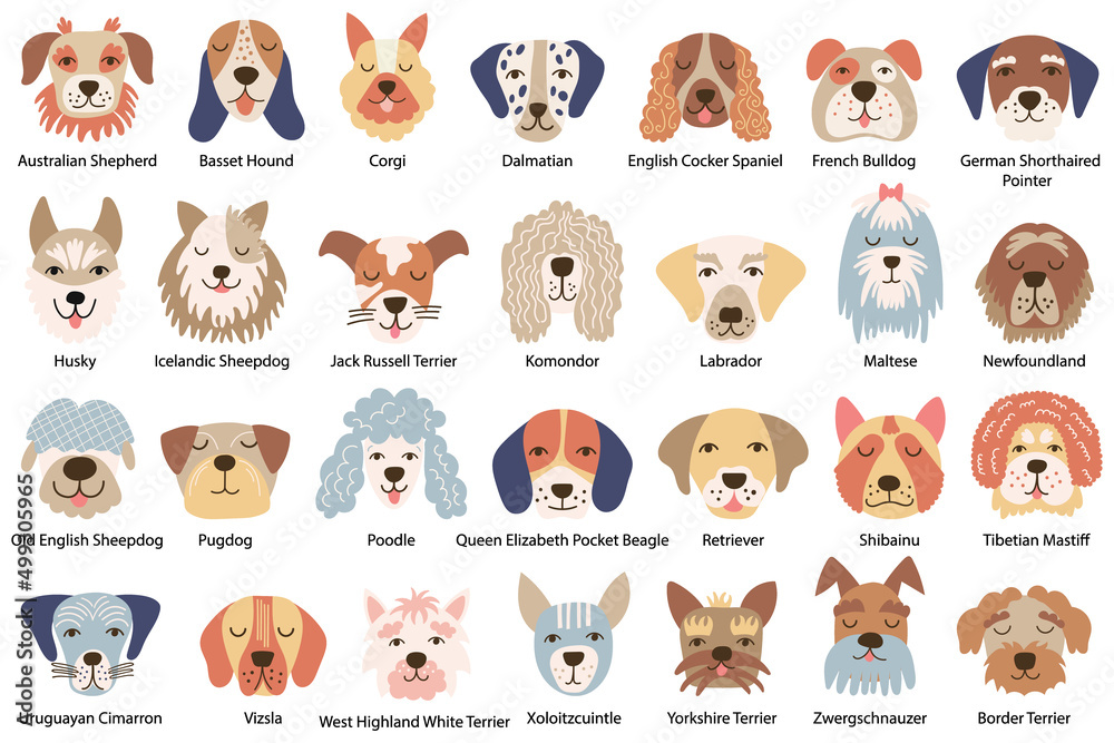 Set of dog faces of various breeds. Vector illustration.
