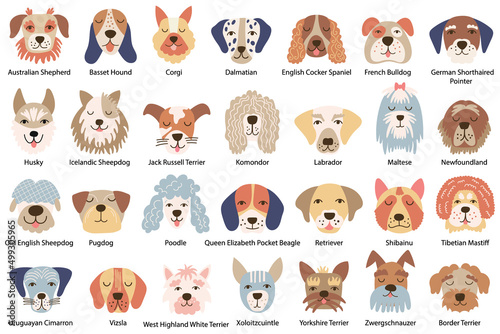 Fototapeta Naklejka Na Ścianę i Meble -  Set of dog faces of various breeds. Vector illustration.