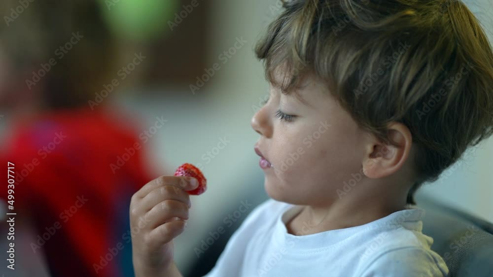Child eating strawberry fruit little boy eats healthy snack Child eating strawberry fruit little boy eats healthy snack