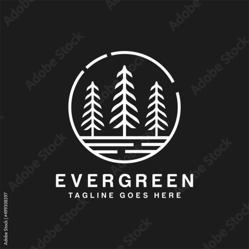 retro vintage, evergreen pine tree logo design template vector