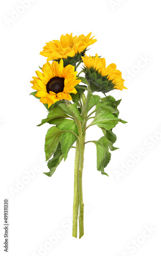 Three yellow sunflowers in ...