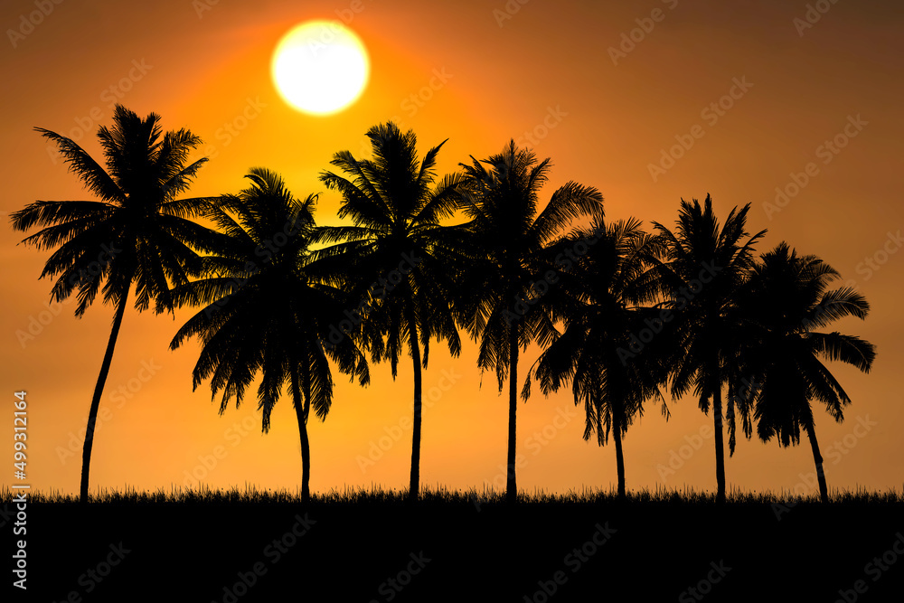 Coconut tree silhouette with beautiful natural light. for use as a background. nature view and sunset concept