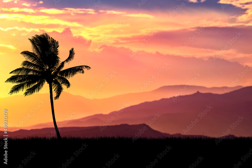 Coconut tree silhouette with beautiful natural light. for use as a background. nature view and sunset concept