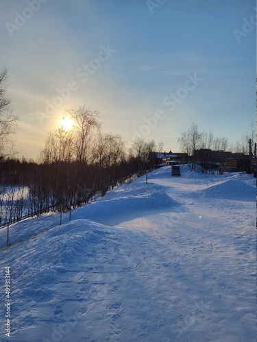 winter landscape with snow
